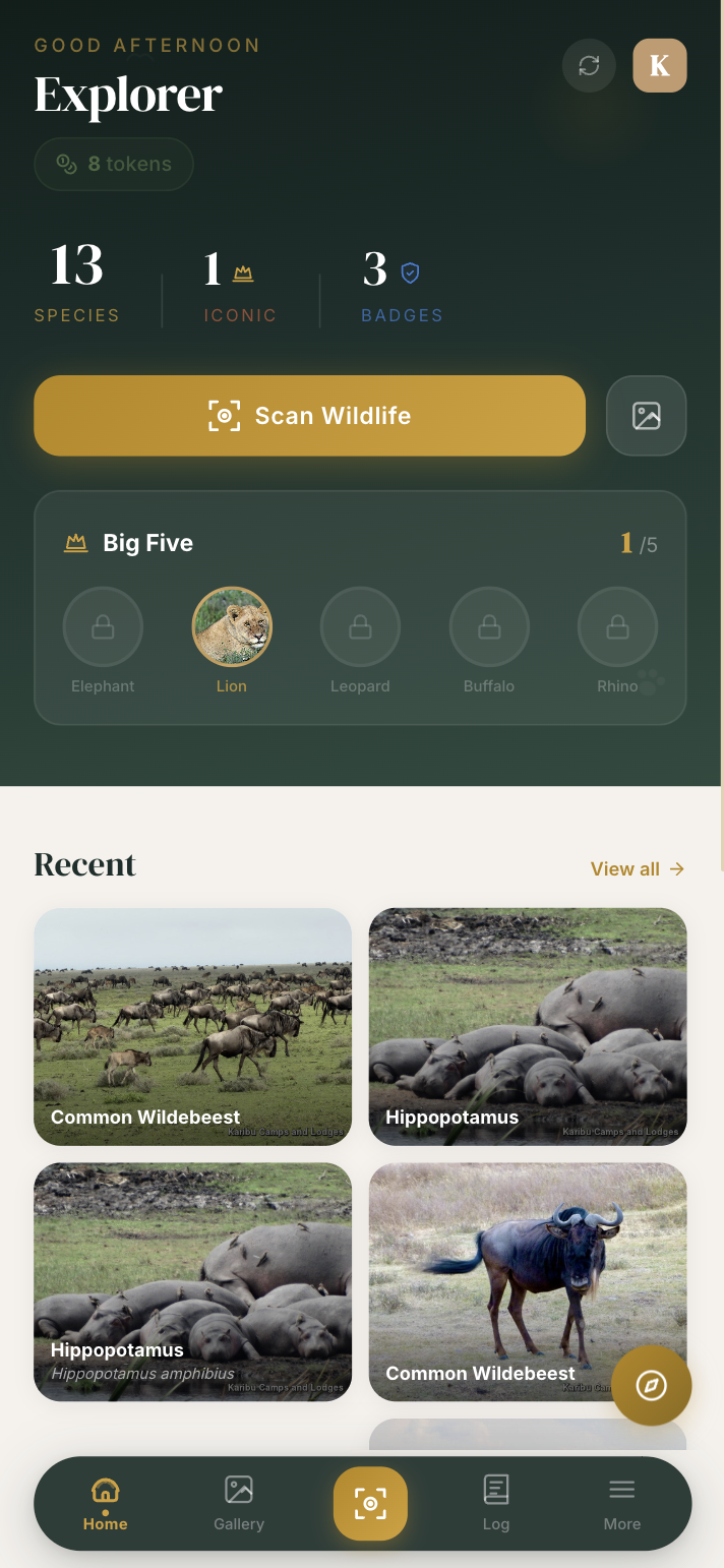 Karibu Explorer home screen